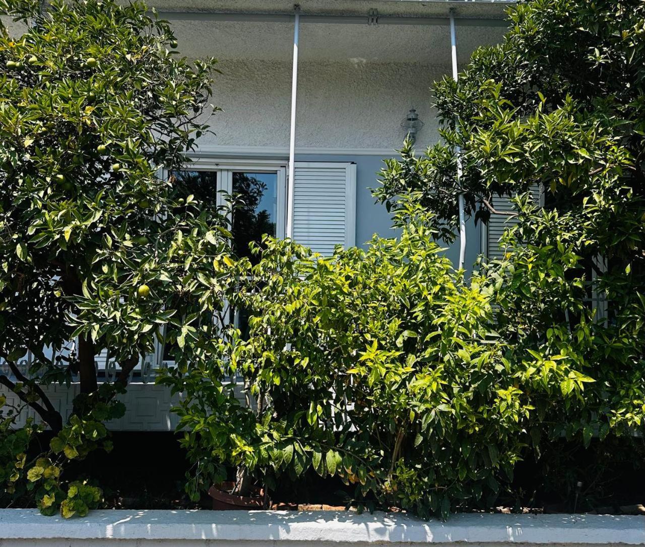דירות דיאקופטו Sotiris Mandarin House מראה חיצוני תמונה